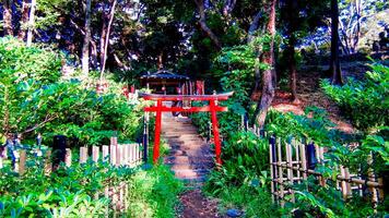 A shrine located halfway up the Shibamaruyama tumulus, located in the back gate of Zojoji Temple. photo