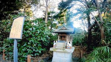 Sakuragi Shrine is a shrine located in Noda City, Chiba Prefecture, Japan. It is also known as a famous cherry blossom viewing spot. It is said that it was founded in 851 of the Heian Dynasty photo