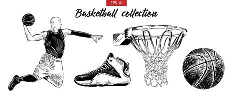 engraved style illustration for posters, decoration and print. Hand drawn sketch set of basketball player, shoe, ball and basket isolated on white background. Detailed vintage etching drawing. vector