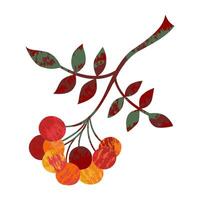 Branch with rowan berries autumn leaves flat isolated illustration on white background Abstract design handmade fall holiday print on fabric and paper greeting decorations discount sale sale vector