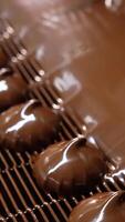 Marshmallows coming out from a thick layer of black melted chocolate. Conveyor grid with zephyr desserts close up. video