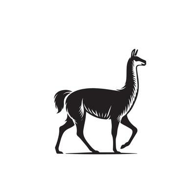 Guanaco silhouette, llama silhouette illustration. Guanaco logo