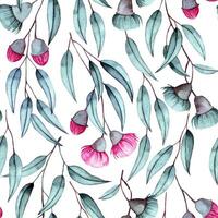watercolor seamless pattern, eucalyptus branches with pink flowers and leaves on a white background. elegant print vector