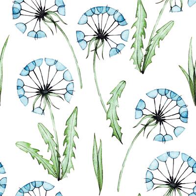 watercolor drawing, seamless pattern of dandelions. transparent flowers, x-ray