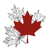 red maple leaf with shadow. Maple leaf icon. Canada symbol. illustration isolated on white background. Elements for the design vector