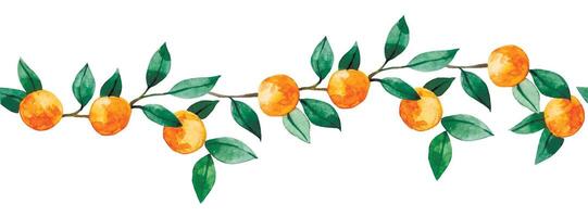 watercolor pattern, seamless fruit border of oranges, tangerines and leaves. vector