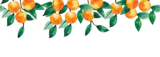 watercolor pattern, seamless fruit border of oranges, tangerines and leaves. vector
