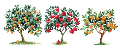 watercolor drawing, set of fruit trees. peach, orange, tangerine and pomegranate trees. vector