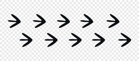 Footpath trail of animal. Masked Lapwing paws. Paw foot trail print of Masked Lapwing on white background. Animal steps in black color. vector