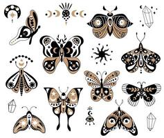 Mystical celestial butterflies and moths in boho style. Isolated cliparts on white background. vector