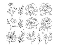 collection hand-drawn floral illustrations featuring various flowers and leaves. Each design showcases intricate line work and unique botanical elements, perfect for use in art projects, invitations. vector