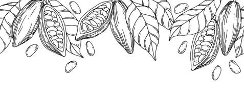 seamless border of cocoa beans, fruits and leaves. illustration with lines, sketch vector