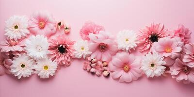 Flat lay composition of spring colorful gerbera flowers on a pink background, background with space for text photo