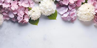 flat lay with hydrangea flowers and space for text. aesthetic frame made of eucalyptus leaves photo