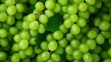 Close-up green grapes background photo