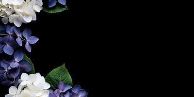 flat lay with hydrangea flowers and space for text. aesthetic frame made of eucalyptus leaves photo