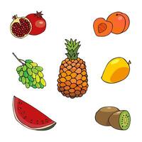 A set of various hand-drawn fruits and berries. Isolated on a white background. Watermelon, kiwi, pineapple, mango, peach, pomegranate, grapes. vector