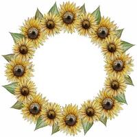 wreath round frame of flowers of buds of leaves of stalks of a sunflower vector