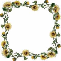 square wreath frame of flowers of buds of leaves of stalks of a sunflower. vector