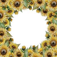 yellow square frame of flowers of buds of leaves of stalks of a sunflower Design for invitations and postcards vector