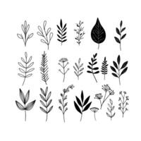 set of leaves. Minimalist black and white botanical illustrations of various leaves and plants, perfect for nature-themed designs and decor. vector