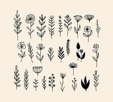 collection of hand-drawn botanical elements in black and white line art style. Simple and minimalist design featuring various leaves and plants. Perfect for natural, decorative, and artistic project vector