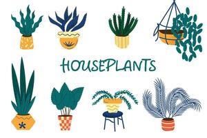 An illustration of different types of houseplants isolated on white backgriond. The plants are depicted in colorful pots with various patterns. The plants are all drawn in a cartoon style vector