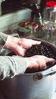 Homemade blackcurrant jam cooking process. Stop motion animation. Vertical. Hands pick black currants from a bush, wash them, crush, then jar is filling with fresh berries and turning into jam video