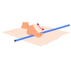 A set of exercises for myofascial release of the legs. A set of relaxing exercises for the legs with a body bar. Rehabilitation exercises for legs. vector