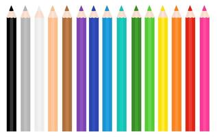 Set of color pencils on white background. vector