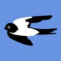 Flat illustration of springtime birdie swallow. Spring bird isolated. vector