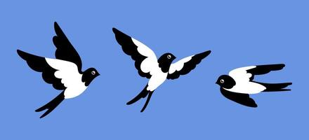 Set of springtime birdie swallow. Flat illustration spring bird isolated. vector