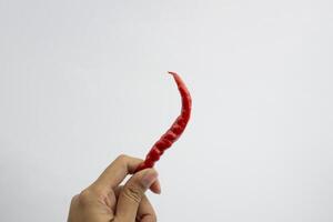 Hand holding red chili. isolated on white background. photo