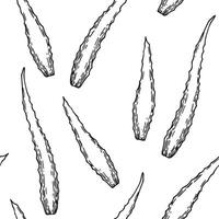 seamless pattern with aloe vera, pattern in sketch style. natural cosmetic vector