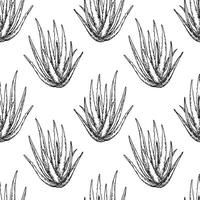 seamless pattern with aloe vera, pattern in sketch style. natural cosmetic vector