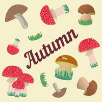 A charming illustration featuring various autumn mushrooms and grass elements. Perfect for seasonal designs and autumn themes. vector