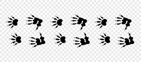 Footpath trail of animals. Opossum paws. Opossum paws walking randomly print isolated on checkered background. vector