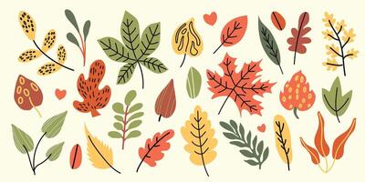 Set of autumn leaves. Autumn set of hand drawn cute design elements. Autumn season. vector