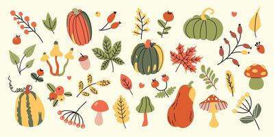 Set of colorful autumn leaves, pumpkins, mushrooms and berries. Isolated on white background. Simple cartoon flat style. vector