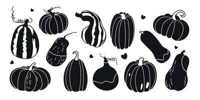 Autumn set of pumpkins. Black silhouette of pumpkins on a white background. Set of hand drawn cute and cozy design elements. Autumn, Thanksgiving, pumpkin season. vector