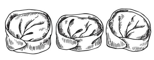 set of asian dumplings, illustration in sketch style. frozen convenience food vector