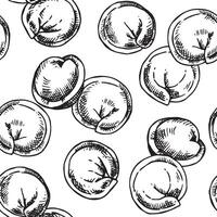 seamless pattern of dumplings, illustration in sketch style vector