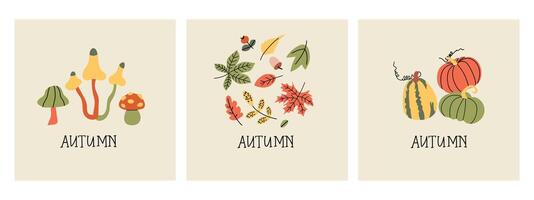 Set of three color autumn illustrations. Hand drawn various pumpkins, mushrooms and leaves. Flat design. Greeting Cards. vector