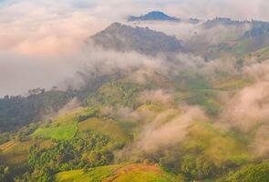 The stunning view from a tourist's standpoint as they go down a hill on a foggy trail with a hill and a background of a golden sky in Forest Park, Thailand. Rainforest. Bird's eye view. Aerial view. photo