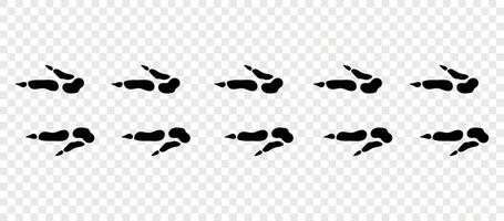 Kangaroo paws. Footpath trail of animals. Paw foot trail print of kangaroo on white background. Animal steps in black color. vector