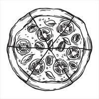 Pizza circle divided into pieces, drawing in sketch style. black and white graphics, engraving vector