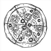Pizza circle divided into pieces, drawing in sketch style. black and white graphics, engraving vector
