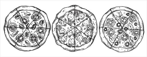 Set of pizza circles divided into pieces, drawing in sketch style. black and white graphics, engraving vector
