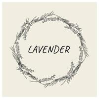Floral, round lavender frame for social media posts, greeting cards, invitations, text, quotes. Botanical illustration of flowers in the form of a wreath in a flat linear style. vector