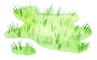 watercolor drawing, green lawn. cute isolated illustration with green grass vector